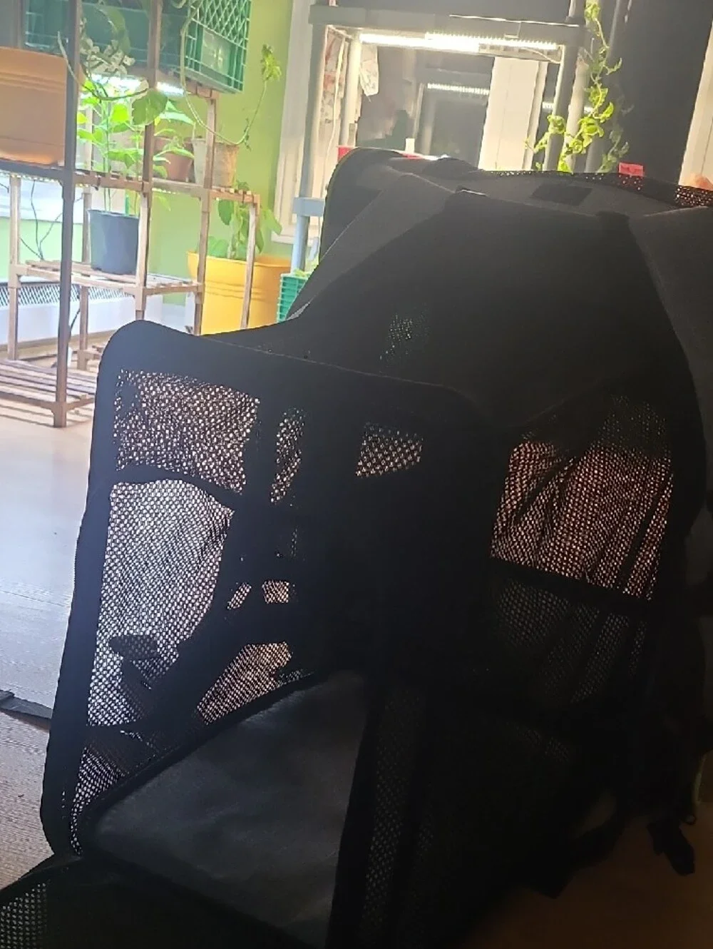 Extendable Pet Carrier/Backpack - Picture 3 of 5